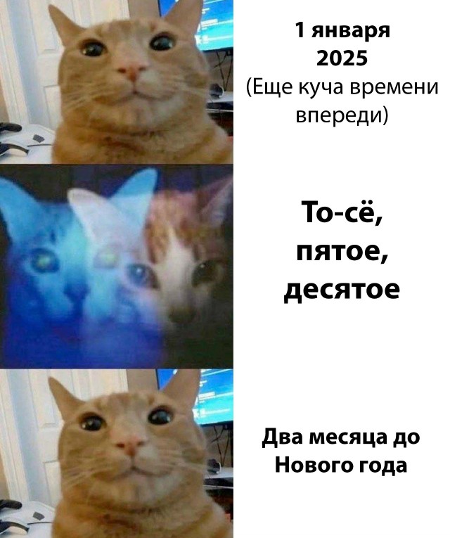Так себе картинки 04.11.25