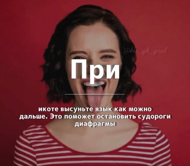 Куча сала 9