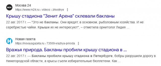 ❗️За полгода бакланы съели более 200 тонн рыбы в Новгородской области