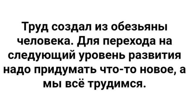 Воскресные картинки