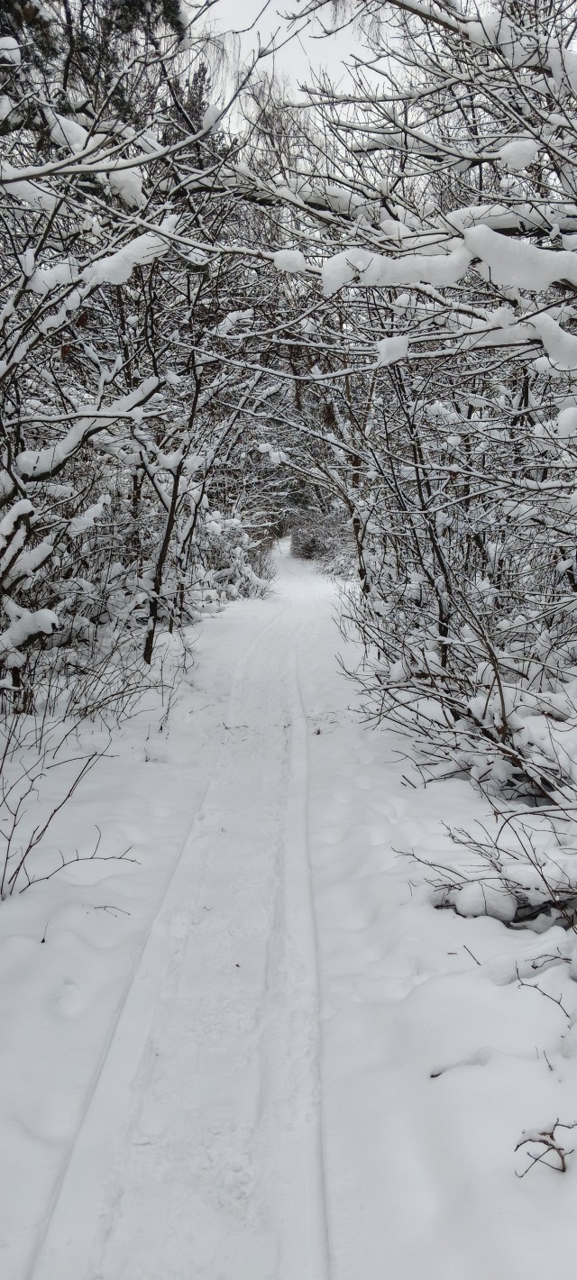 Просто фото