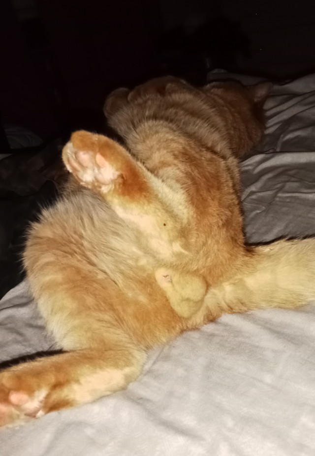 Минздрав представил шесть цветов формы медиков в зависимости от должности