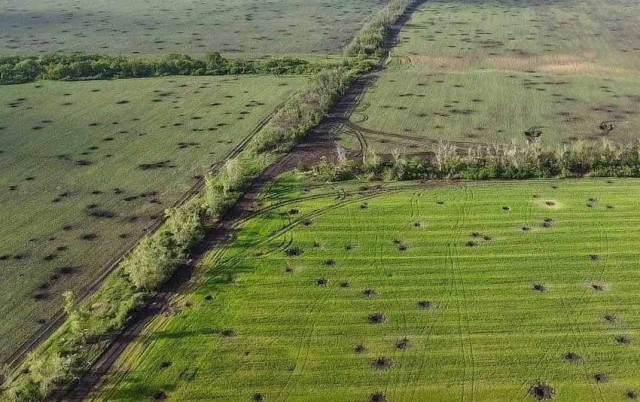 Захарова: Украина и Европа ведут игру на затягивание конфликта