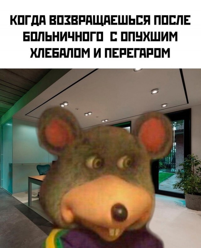 Картиночки, баянчики 09 июня