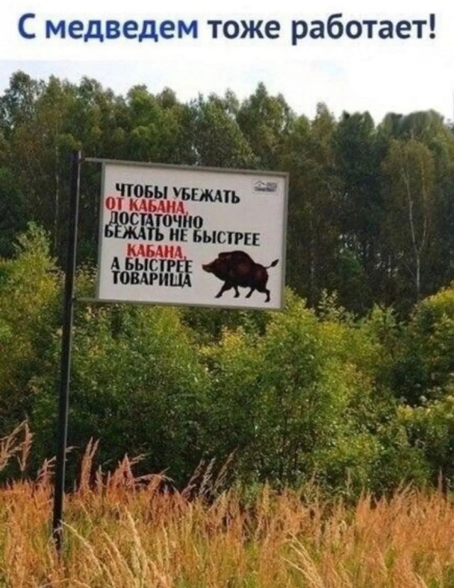 Так себе картинки 20.07.26
