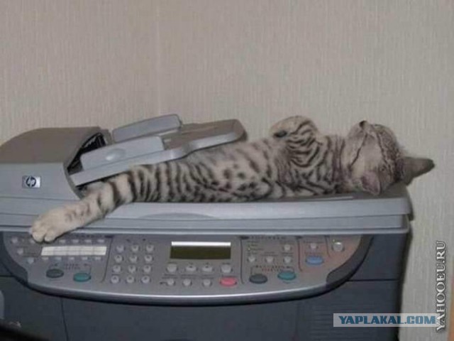 Аппарат МРТ в детской больнице Нью-Йорка