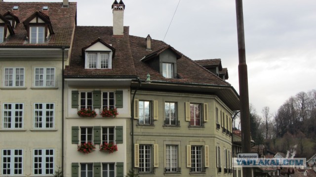 В поисках музея ПрофессораПлейшнера