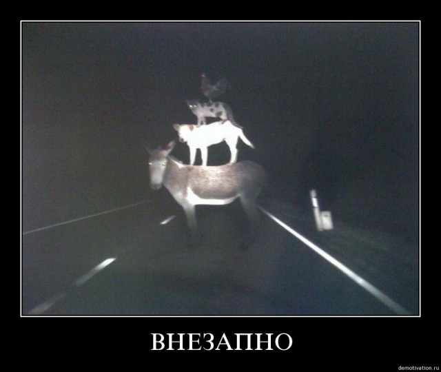 За секунду до..  Эпические кадры с видеорегистров