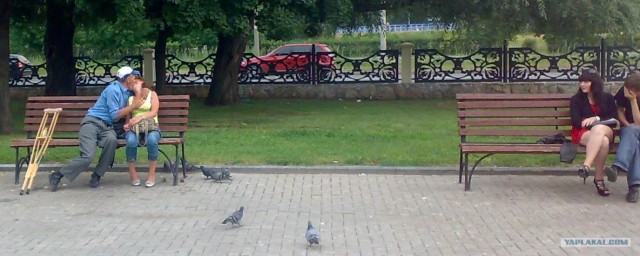 Случай в парке