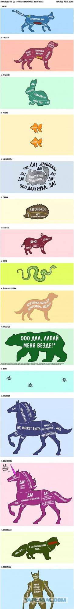 Позитивные картинки и комментарии.