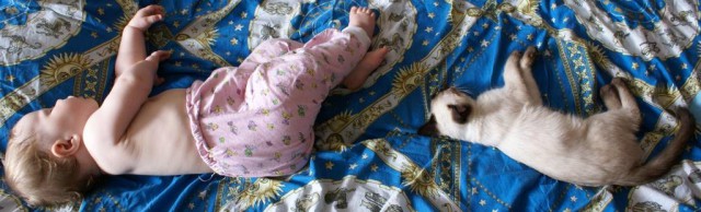 Кошка и котё... ребёнок