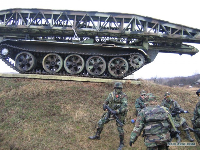 В глухом подмосковном лесу...