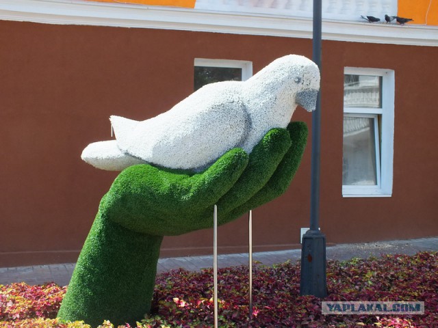 Поездка на Чёрное море. 2014. п. Дедеркой