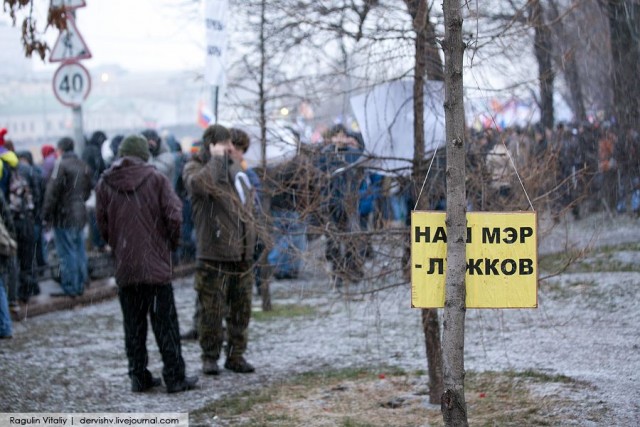 Мои фото с митинга на Болотной, прикольные лозунги