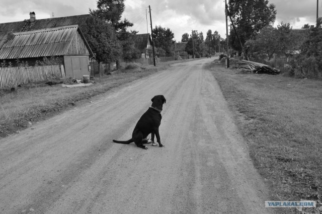 Россия в фотографиях, первая половина 2012
