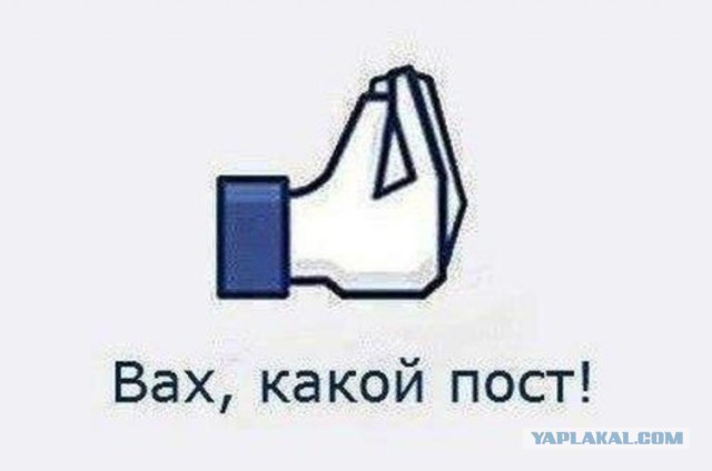 Насяльника, помаги