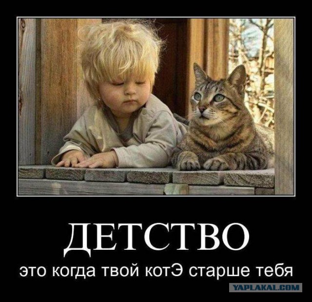 Картинки для настроения