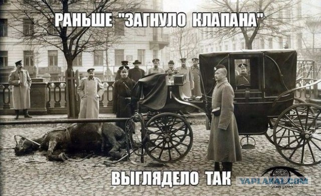 Подборка прикольных фото/картинок