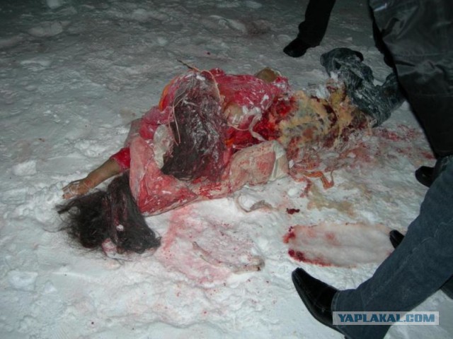 Убийство белого медведя