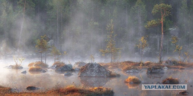 Интересные и веселые картинки