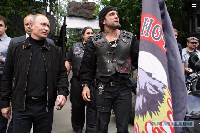 Убил волка охотившегося в городе.