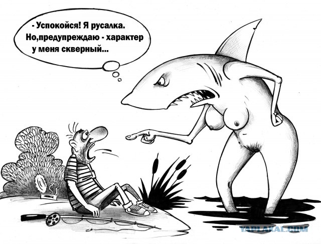 Строю Надёжный и долговечный дом, стены