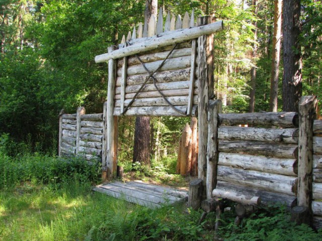 Моменты, запечатлённые на фото и просто позитив 5