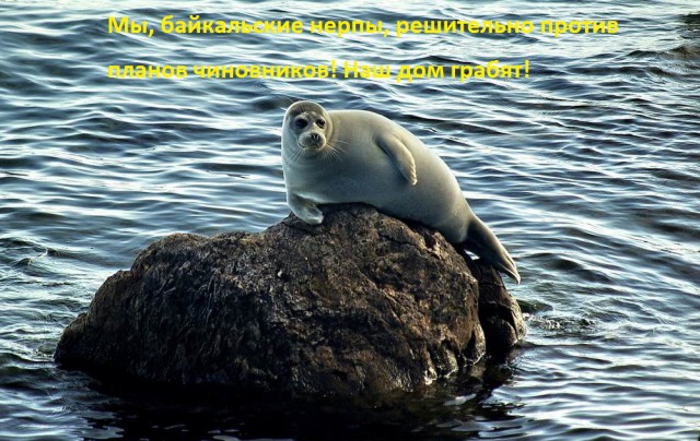 Воду Байкала продадут китайцам