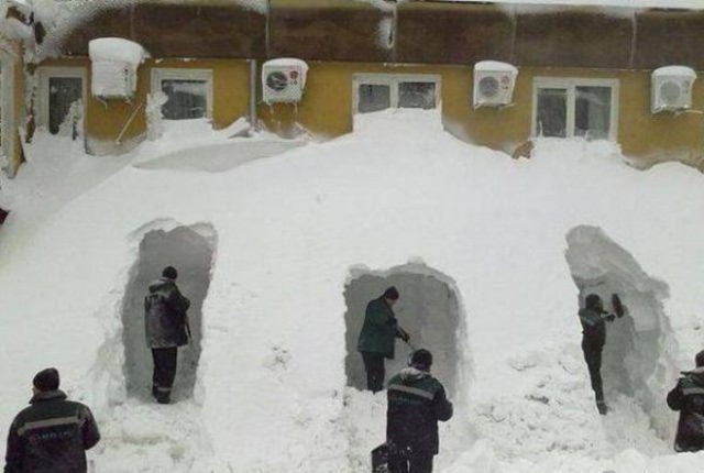 Подборка безудержного веселья