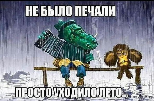Подборка интересных и веселых картинок
