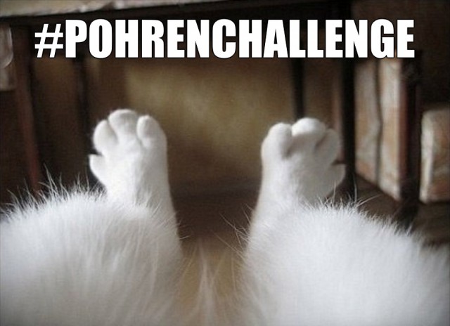 Пятничный POHRENCHALLENGE