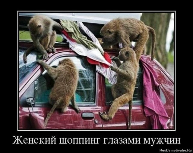 Картинки для настроения в пятницу.