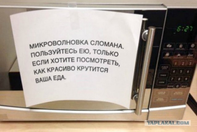 25 человек, которых наверняка приняли на работу за их отменное чувство юмора