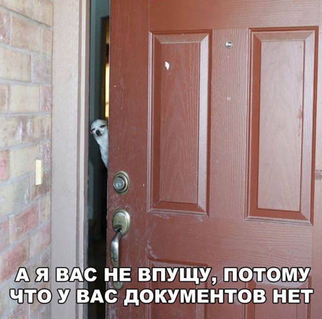Нестандартный юмор
