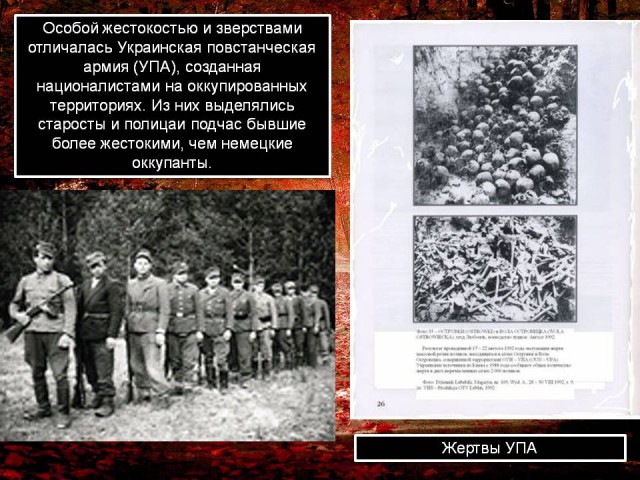 Павел Дуров получил британское гражданство