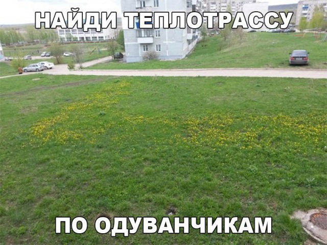 Нестандартный юмор