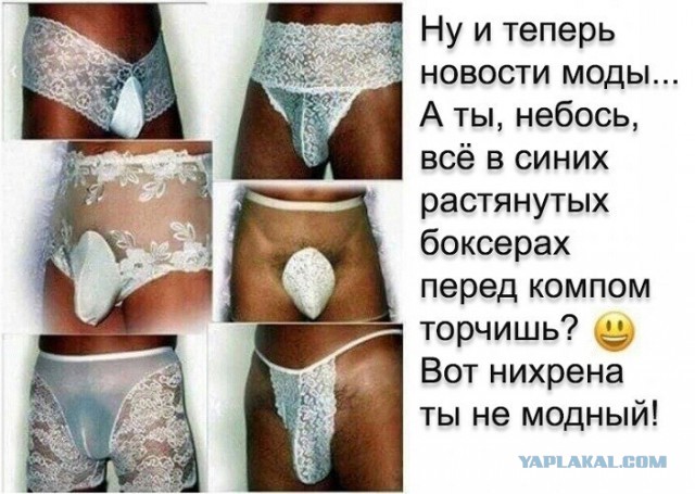 Картинки веселые и интересные