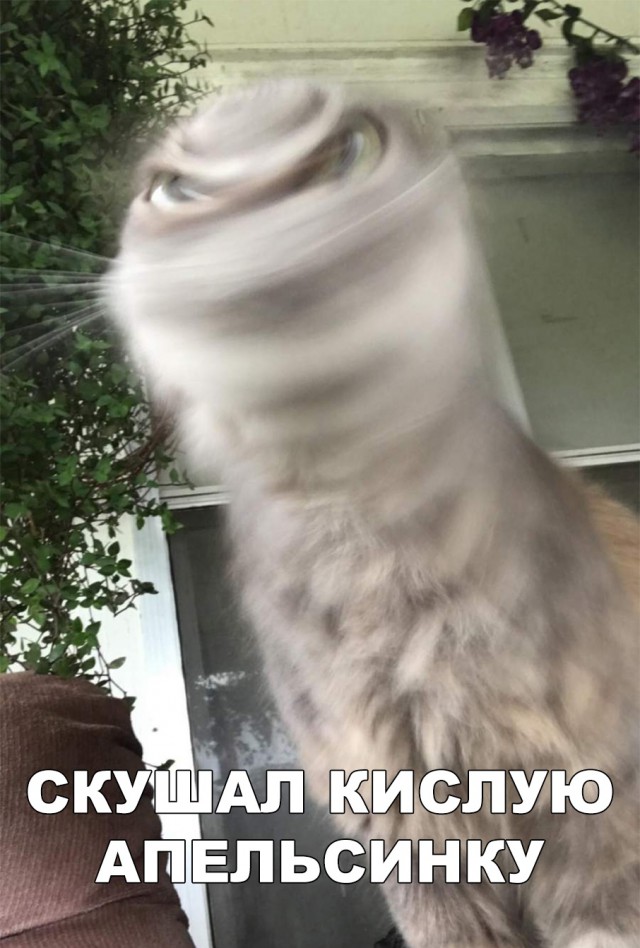 Нестандартный юмор
