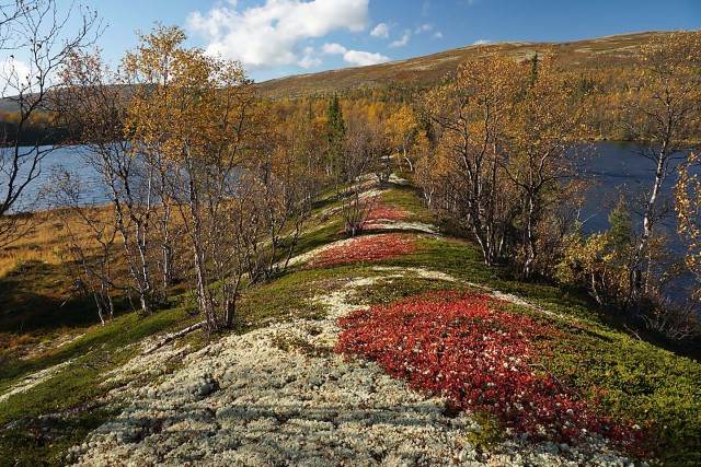 Осень. Заполярная рыбалка