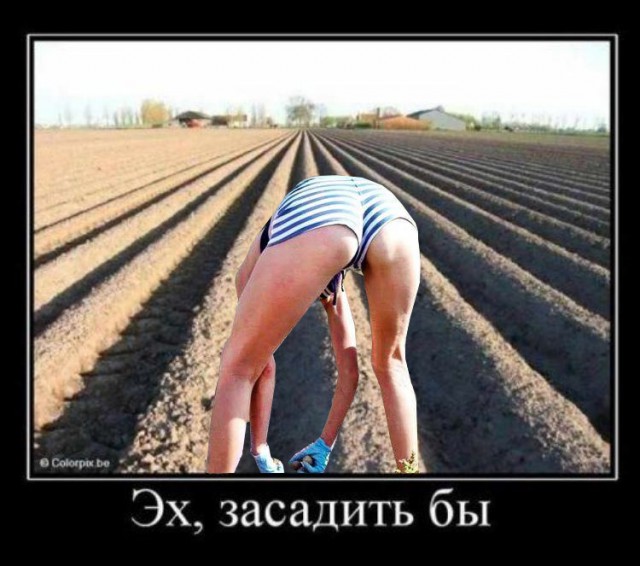 Картинки в черных рамках с подписями
