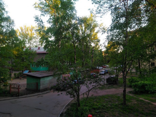 Лето, делимся видом из окна