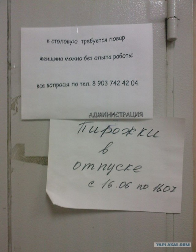 Пирожки в отпуске