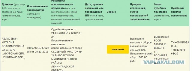 Помогите вернуть кота! Приют "Преданное сердце" украл кота и не отдает!-2