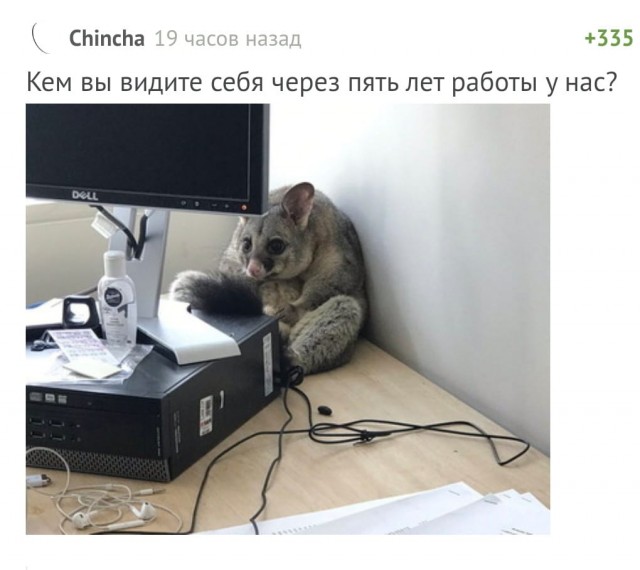 Разнокартинок псто 09.02.20