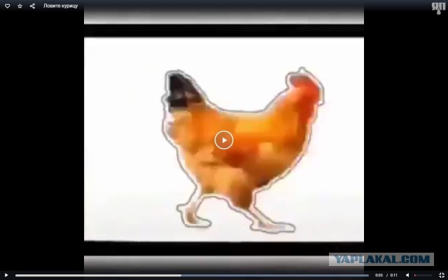 Кому нечем заняться: ловите курицу, нажимая на паузу