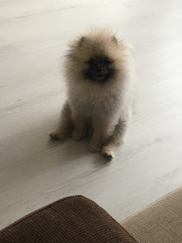 Живность 15.03.20