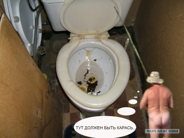Фотожаба: Голый рыбак