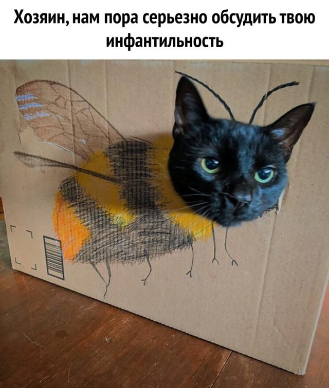 Так себе картинки 01.07.20
