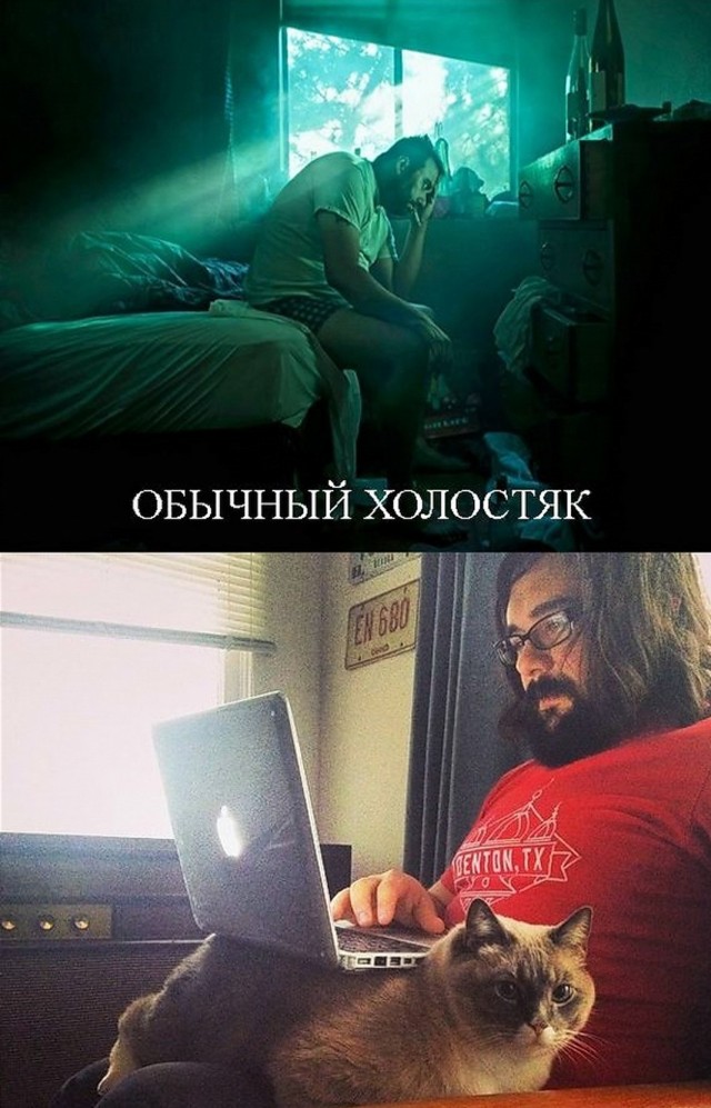 Что женщины думают про холостяков
