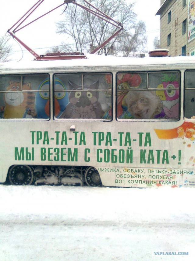 Нарко-трамвай